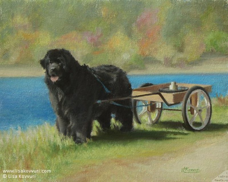 Фотография № 244975