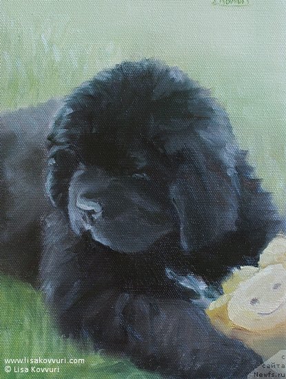 Фотография № 244982