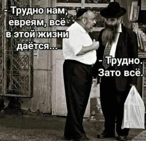 Фотография № 244995