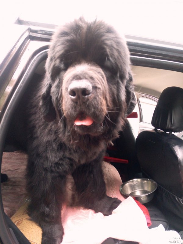 Фото: Amina'z First Toy