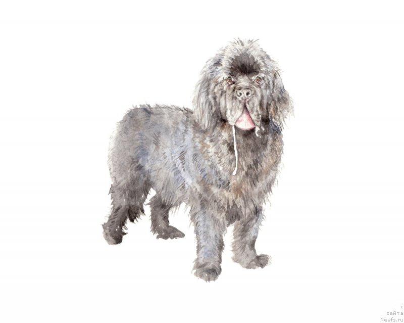 Фотография № 245014