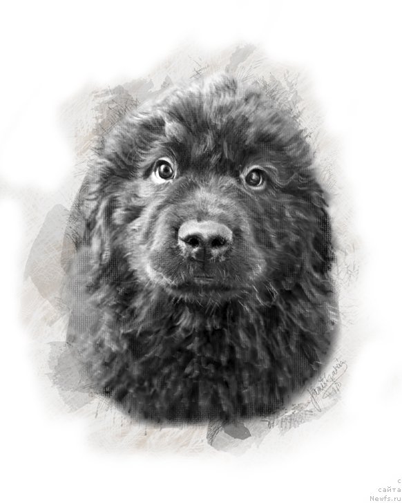 Фотография № 245015