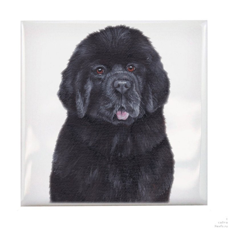 Фотография № 245016