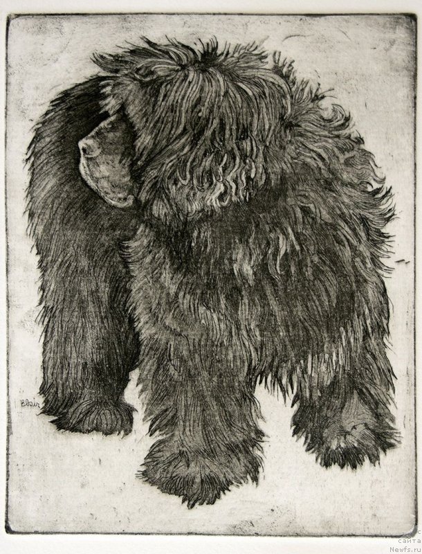 Фотография № 245044