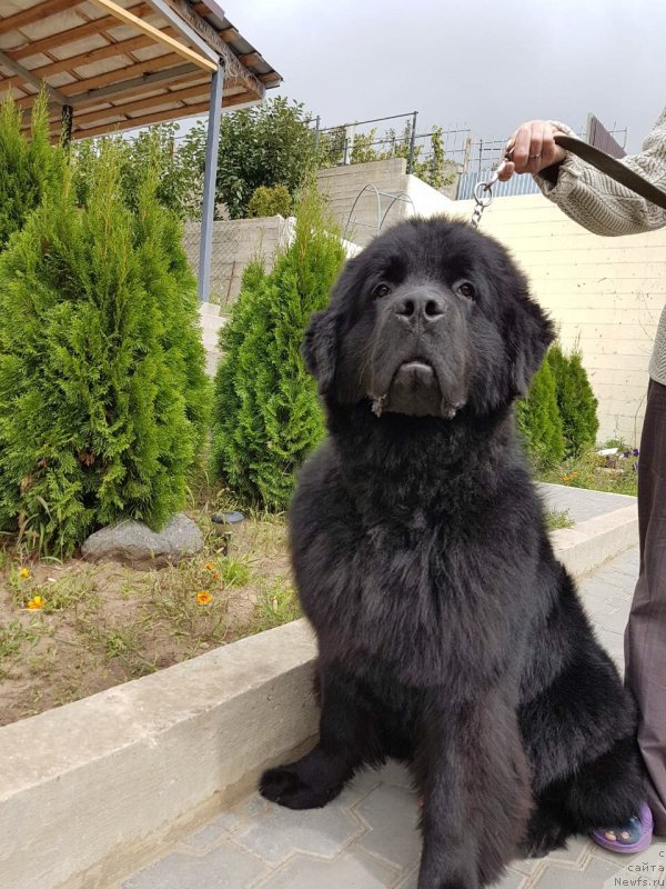 Фото: Ekaterina Kalashnikova (Екатерина Калашникова)