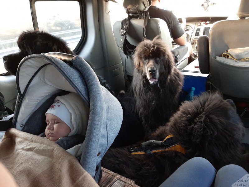 Фотография № 245097