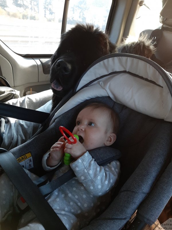 Фотография № 245099