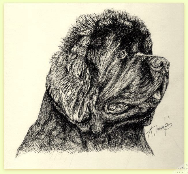 Фотография № 245113