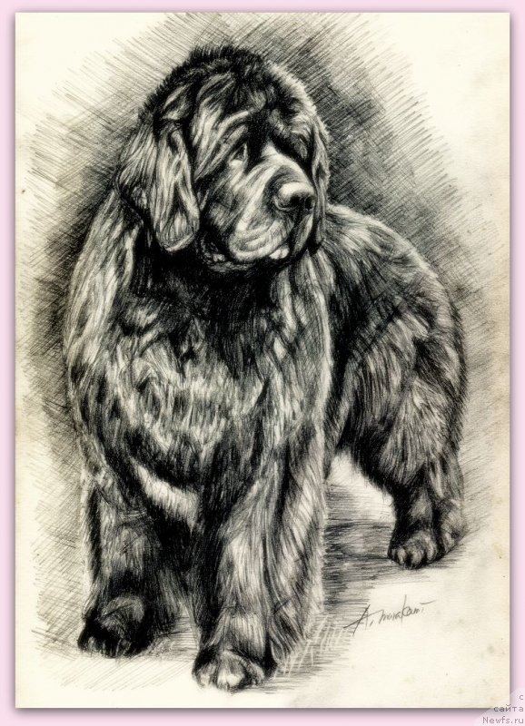 Фотография № 245114