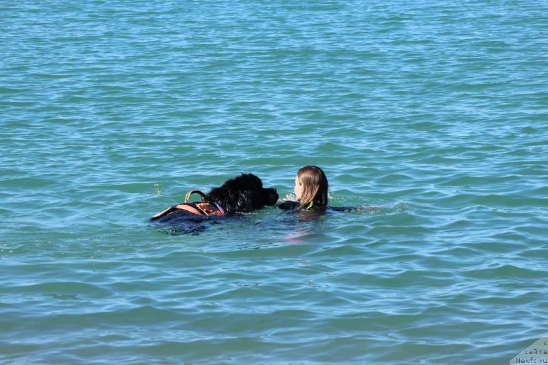 Фотография № 245119