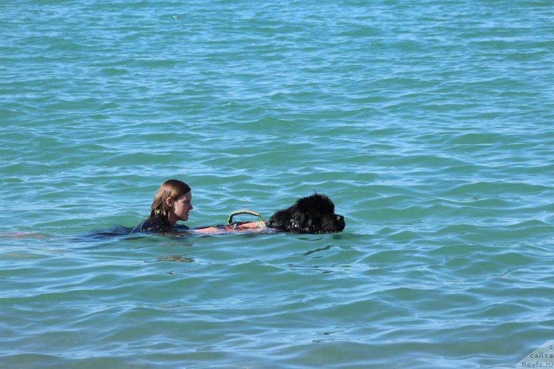 Фотография № 245121