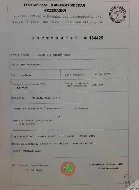 Фото: ньюфаундленд Richchi s Berega Dona (Риччи с Берега Дона)