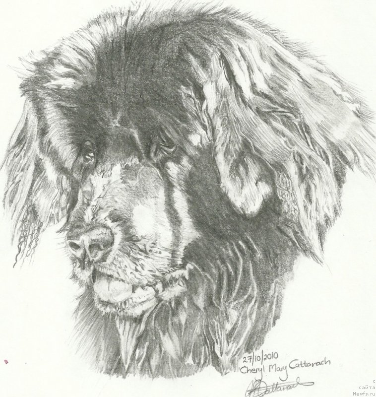 Фотография № 245140