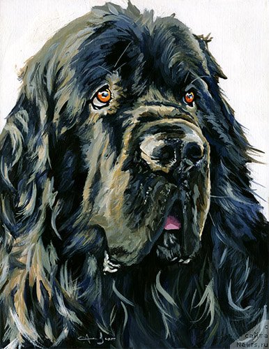 Фотография № 245146