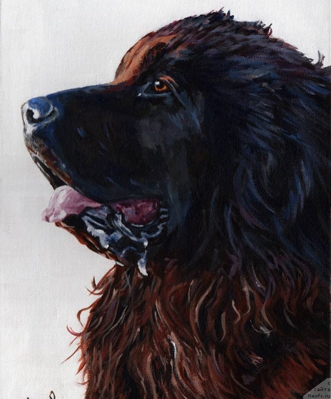 Фотография № 245147