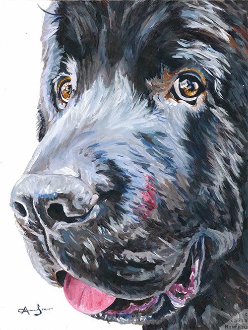 Фотография № 245150