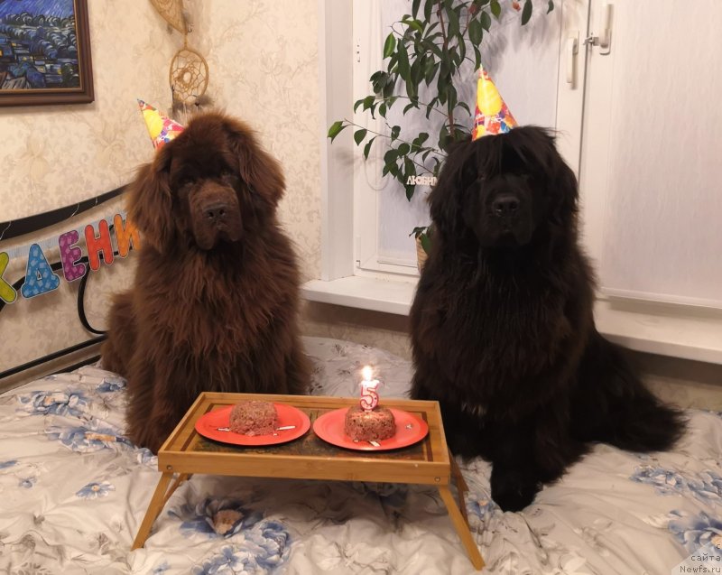 Фотография № 245153