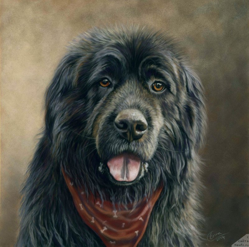 Фотография № 245158