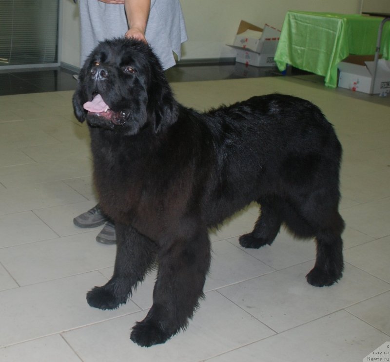 Фотография № 245166