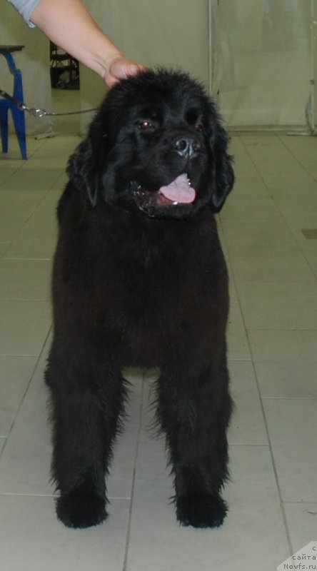 Фотография № 245167