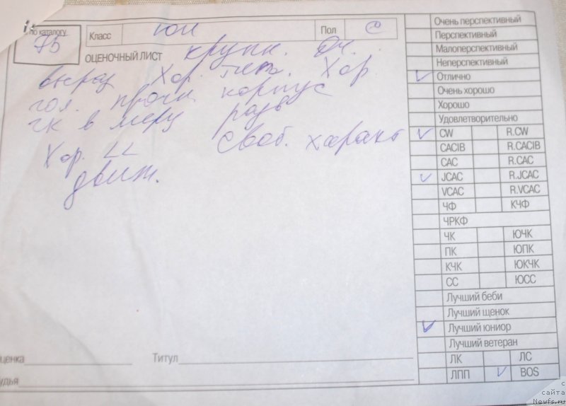 Фотография № 245168