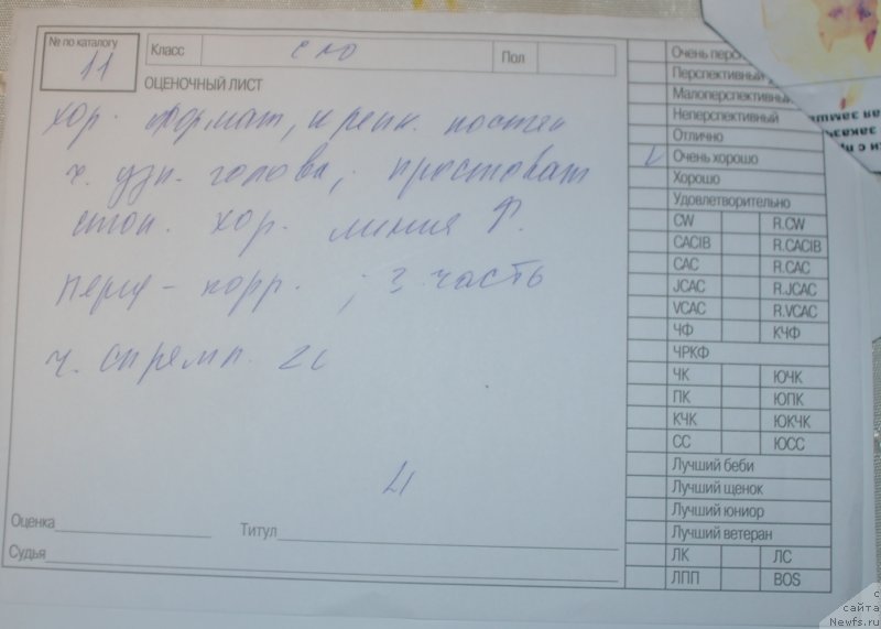 Фотография № 245169