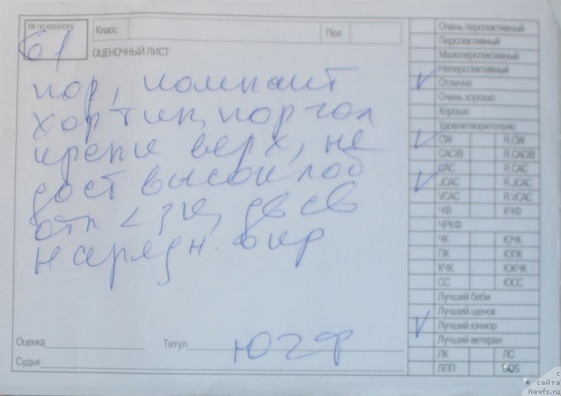 Фотография № 245170