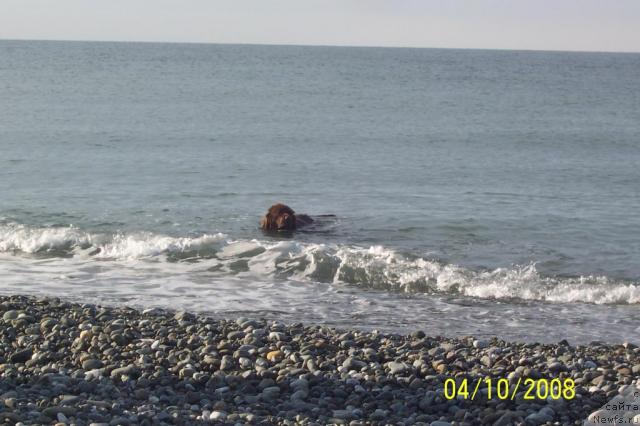 Фотография № 24519