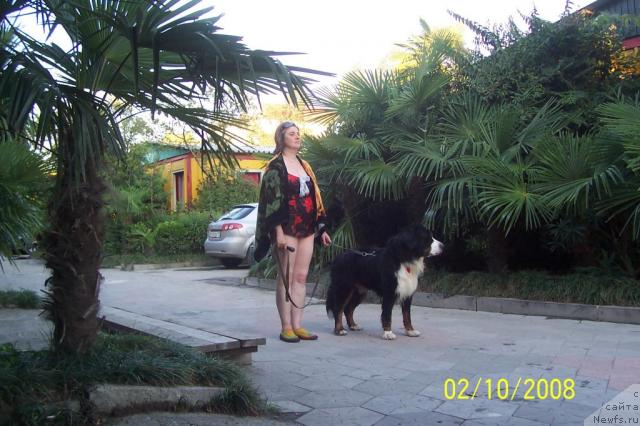 Фотография № 24520