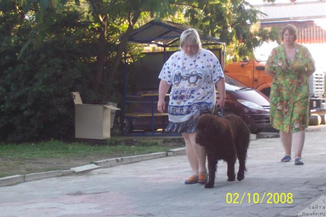 Фотография № 24521