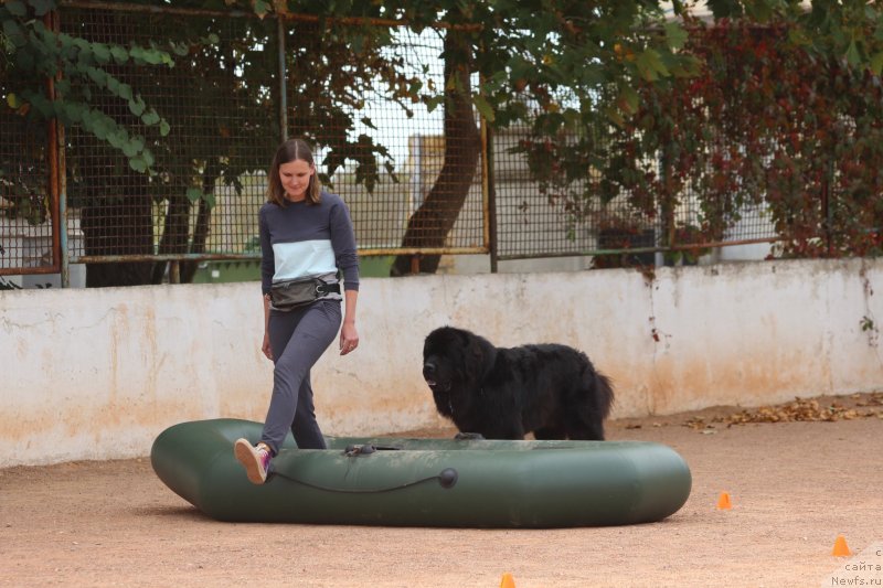 Фотография № 245266