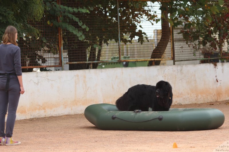 Фотография № 245267