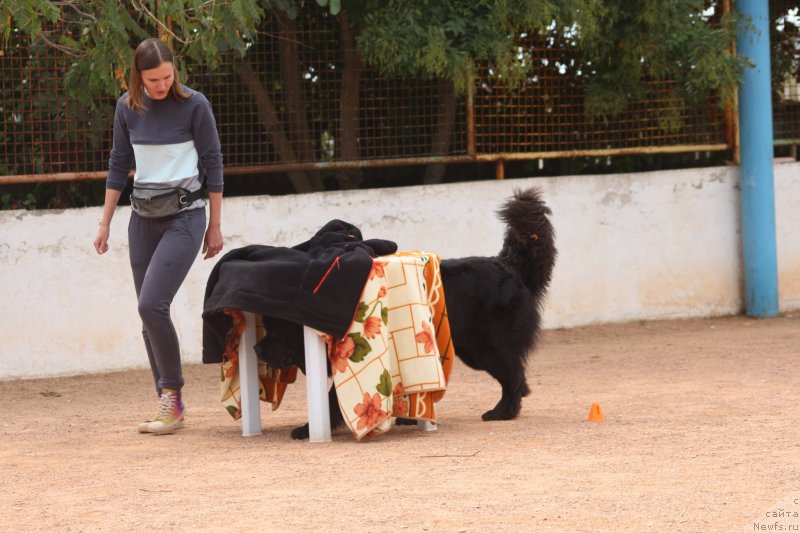 Фотография № 245269