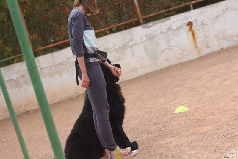 Фотография № 245273