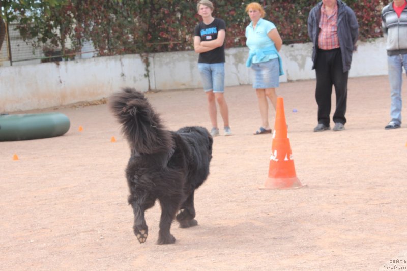 Фотография № 245275