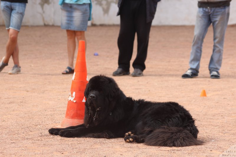 Фотография № 245276