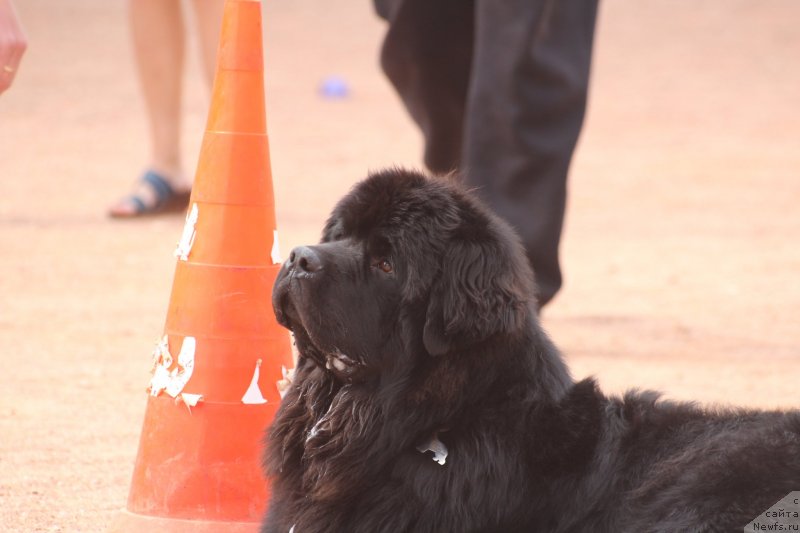 Фотография № 245277