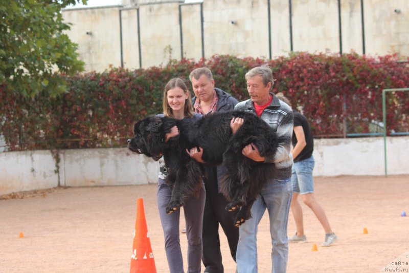 Фотография № 245278