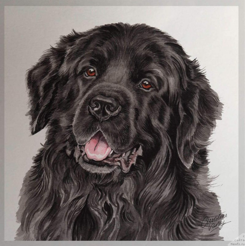 Фотография № 245279