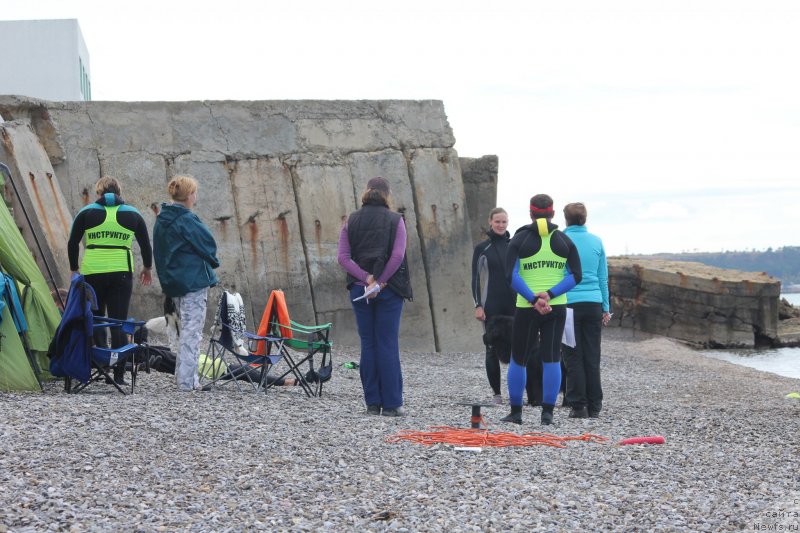 Фото: ньюфаундленд Richchi s Berega Dona (Риччи с Берега Дона), Anastasiya Kireeva (Анастасия Киреева)