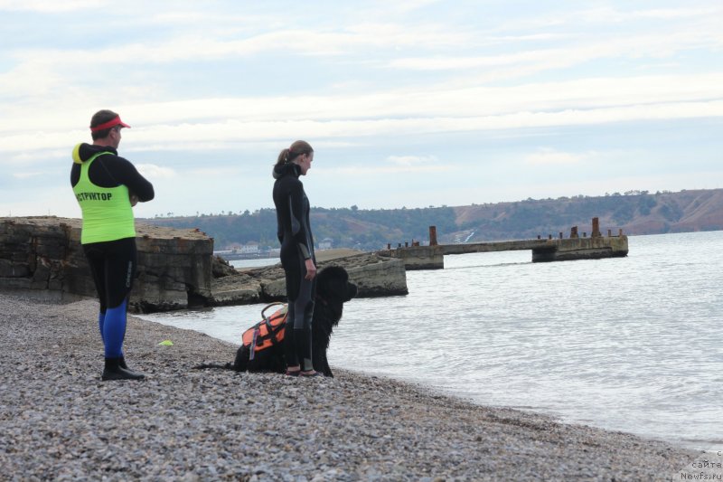 Фотография № 245284