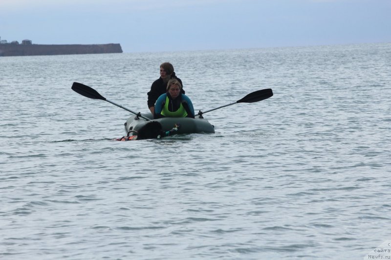 Фотография № 245286