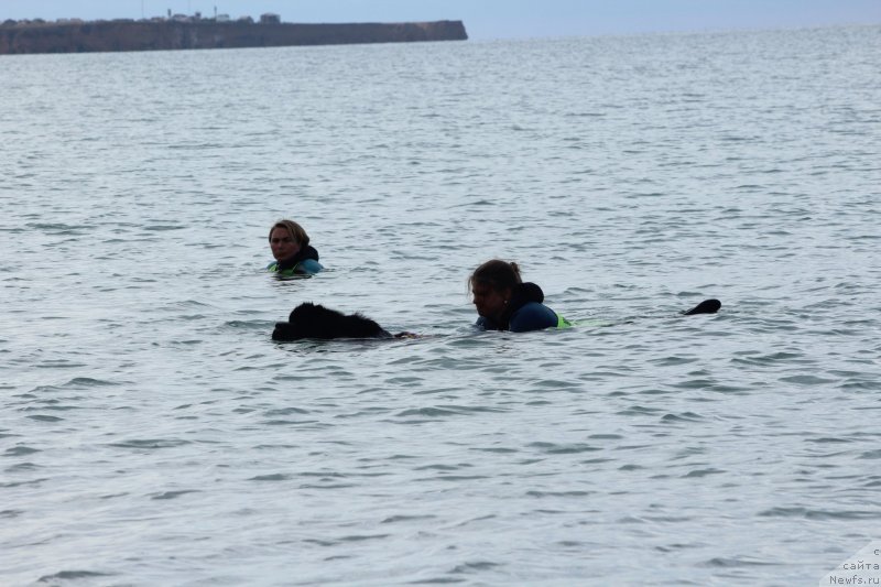 Фотография № 245289