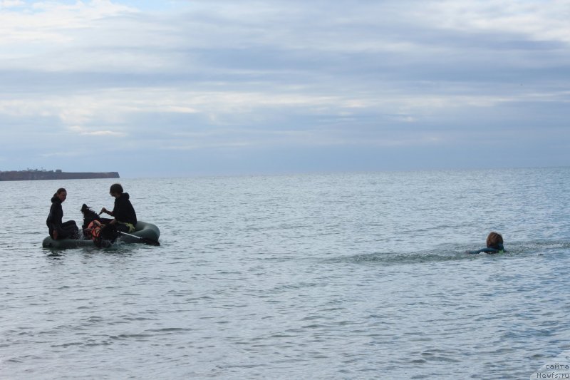 Фотография № 245291