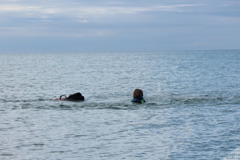 Фотография № 245292