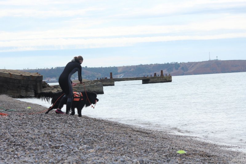 Фотография № 245294