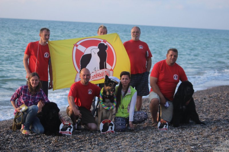 Фотография № 245296