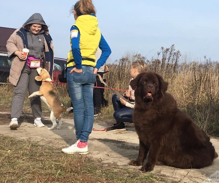 Фотография № 245297