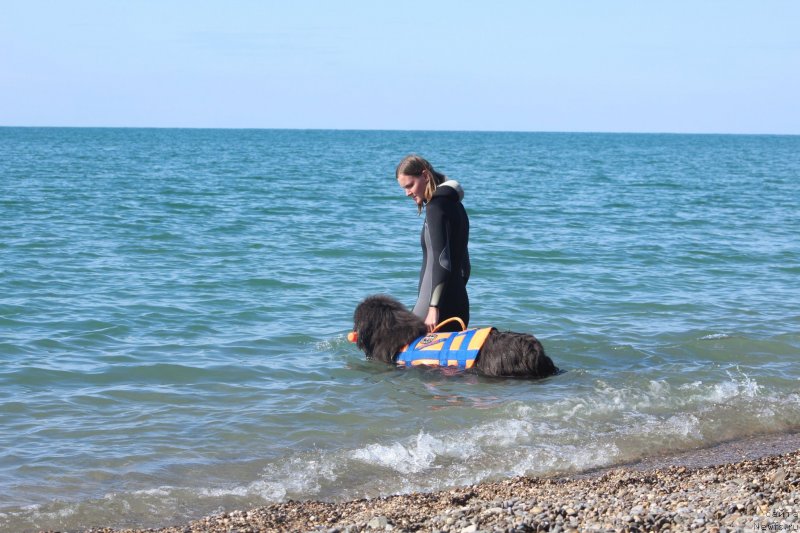 Фотография № 245306