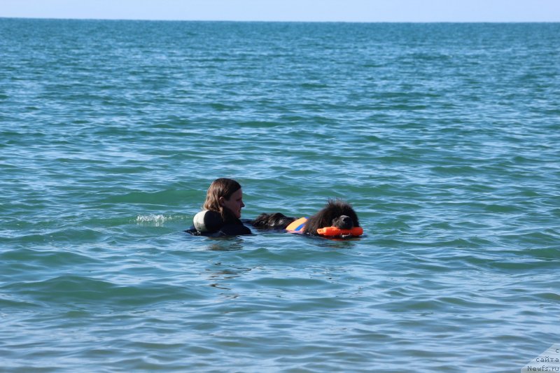 Фотография № 245308